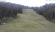 Archiv Foto Webcam Skigebiet Hauser Kaibling: FIS Abfahrt 11:00
