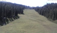Archiv Foto Webcam Skigebiet Hauser Kaibling: FIS Abfahrt 11:00
