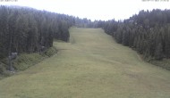 Archiv Foto Webcam Skigebiet Hauser Kaibling: FIS Abfahrt 11:00