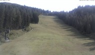 Archiv Foto Webcam Skigebiet Hauser Kaibling: FIS Abfahrt 15:00