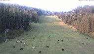 Archiv Foto Webcam Skigebiet Hauser Kaibling: FIS Abfahrt 05:00