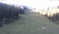 Archiv Foto Webcam Skigebiet Hauser Kaibling: FIS Abfahrt 06:00
