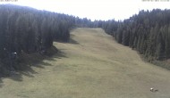 Archiv Foto Webcam Skigebiet Hauser Kaibling: FIS Abfahrt 11:00
