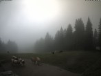 Archived image Webcam Panorama Scheibelberg 11:00