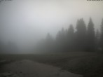 Archiv Foto Webcam Ausblick Scheibelberg 11:00