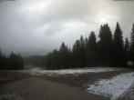 Archiv Foto Webcam Ausblick Scheibelberg 11:00