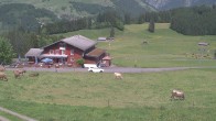 Archiv Foto Webcam Engelberg/Titlis: Restaurant Untertrübsee 13:00