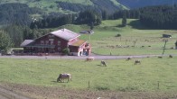 Archiv Foto Webcam Engelberg/Titlis: Restaurant Untertrübsee 09:00