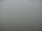 Archiv Foto Webcam Bruchegg (2.130 m) 08:00