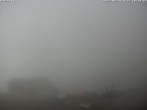 Archiv Foto Webcam Bruchegg (2.130 m) 11:00
