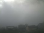 Archiv Foto Webcam Lisighaus, Wildhaus 11:00