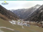 Archiv Foto Webcam Pichlerhof, Tauferer Ahnrtal 11:00