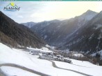 Archiv Foto Webcam Pichlerhof, Tauferer Ahnrtal 11:00