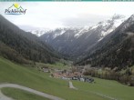 Archiv Foto Webcam Pichlerhof, Tauferer Ahnrtal 07:00