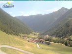 Archiv Foto Webcam Pichlerhof, Tauferer Ahnrtal 13:00