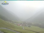 Archiv Foto Webcam Pichlerhof, Tauferer Ahnrtal 11:00