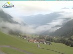 Archiv Foto Webcam Pichlerhof, Tauferer Ahnrtal 05:00