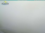 Archiv Foto Webcam Pichlerhof, Tauferer Ahnrtal 09:00