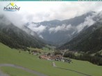 Archiv Foto Webcam Pichlerhof, Tauferer Ahnrtal 11:00