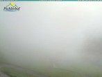 Archiv Foto Webcam Pichlerhof, Tauferer Ahnrtal 13:00