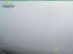 Archiv Foto Webcam Pichlerhof, Tauferer Ahnrtal 19:00