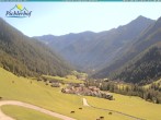 Archiv Foto Webcam Pichlerhof, Tauferer Ahnrtal 11:00