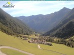 Archiv Foto Webcam Pichlerhof, Tauferer Ahnrtal 11:00