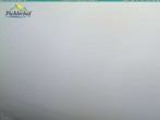 Archiv Foto Webcam Pichlerhof, Tauferer Ahnrtal 15:00