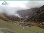 Archiv Foto Webcam Pichlerhof, Tauferer Ahnrtal 11:00