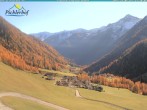 Archived image Webcam hotel Pichlerhof, Ahrntal valley 11:00