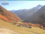 Archived image Webcam hotel Pichlerhof, Ahrntal valley 12:00