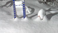 Archiv Foto Webcam Sunshine Village: Aktuelle Schneehöhe 05:00