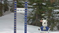 Archived image Webcam Sunshine Village: Snow Depth 08:00