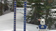 Archiv Foto Webcam Sunshine Village: Aktuelle Schneehöhe 12:00
