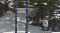 Archived image Webcam Sunshine Village: Snow Depth 14:00