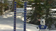 Archived image Webcam Sunshine Village: Snow Depth 16:00