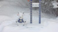 Archiv Foto Webcam Sunshine Village: Aktuelle Schneehöhe 11:00