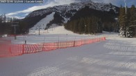 Archiv Foto Webcam Banff Norquay: Cascade Lift 11:00