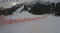 Archived image Webcam Banff Norquay: Cascade Lift 13:00