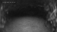 Archiv Foto Webcam Ladurns: Blick von der Bergstation Wastenegg 01:00