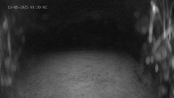 Archiv Foto Webcam Ladurns: Blick von der Bergstation Wastenegg 01:00