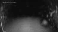 Archived image Webcam Ladurns - Wastenegg Top Station 18:00