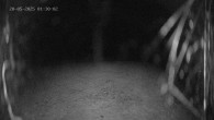 Archiv Foto Webcam Ladurns: Blick von der Bergstation Wastenegg 01:00