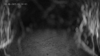 Archiv Foto Webcam Ladurns: Blick von der Bergstation Wastenegg 01:00