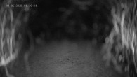 Archiv Foto Webcam Ladurns: Blick von der Bergstation Wastenegg 01:00