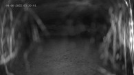 Archiv Foto Webcam Ladurns: Blick von der Bergstation Wastenegg 03:00
