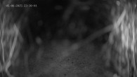 Archived image Webcam Ladurns - Wastenegg Top Station 23:00