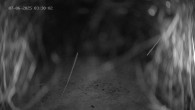 Archived image Webcam Ladurns - Wastenegg Top Station 03:00