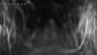 Archiv Foto Webcam Ladurns: Blick von der Bergstation Wastenegg 01:00