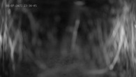 Archiv Foto Webcam Ladurns: Blick von der Bergstation Wastenegg 23:00